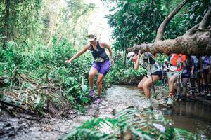 BIB: 
                            <button type="button" onclick="openModal(25470335)" class="btn btn-primary btn-sm float-right btn-popup" data-toggle="modal" data-target=".modal-high-quality">
                        <i class="fas fa-shopping-cart"></i> Add to Cart
                    </button>
                                            <button type="button" onclick="isThisMe(25470335, true)" class="btn btn-success btn-sm float-right btn-popup btn-isme hidden" data-toggle="tooltip" data-placement="bottom" title="นี่คือรูปของคุณใช่ไหม คลิกที่นี่เพื่อเอาเข้าอัลบั้ม">
                        <i class="fas fa-plus"></i> Add to album
                    </button>
                    <button type="button" onclick="isThisMe(25470335, false)" class="btn btn-warning btn-sm float-right btn-popup btn-isnotme hidden">
                        <i class="fas fa-ban"></i> Remove from album
                    </button>